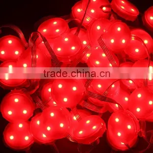High Quality SMD 5050 DC 12V Waterproof IP67 Led Pixel Light Outdoor Using For Advertising thumbnail-3