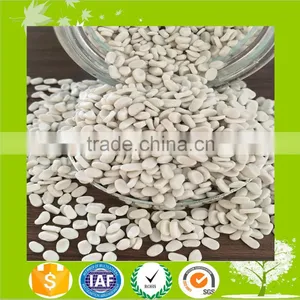 CaCO3 Filler Masterbatch(Calcium Carbonate Filler Masterbatch)for Plastics thumbnail-1