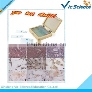 Educational Supplies Teaching Medical Survey and Bacterial Prepared Slides thumbnail-1