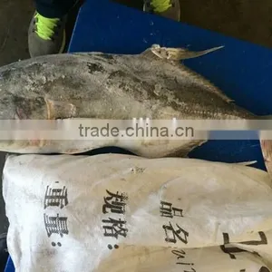 Frozen Fresh Whole Round Trevally Fish for Sale thumbnail-1