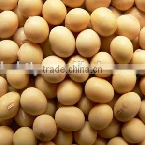 Peanut/ Soybean/ Sunflower Seed Oil Extraction Machine thumbnail-3