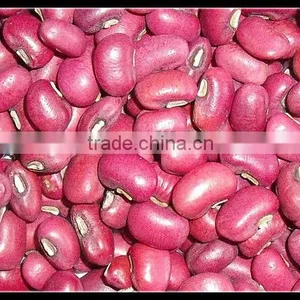 2013 New Crop Red Cowpeas Beans thumbnail-1
