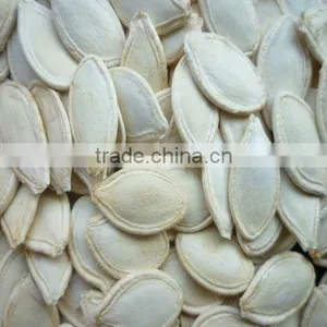 2011 New Crop Snow White Pumpkin Seeds,edible Pumpkin Seeds thumbnail-1