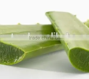 Aloe Polysaccharide Manufacture With ISO, GMP, HACCP, KOSHER, HALAL Certificated thumbnail-2