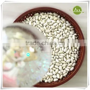 JSX Long Shape White Kidney Beans Food Trade Export thumbnail-2