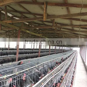 Zimbabwe Poultry Cage Dip Hot Chicken thumbnail-2