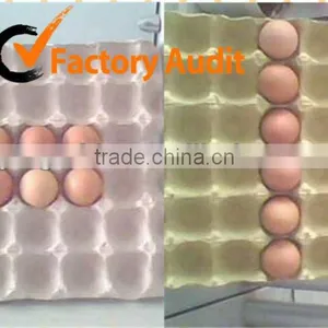 Delicated Popular Egg Tray thumbnail-1