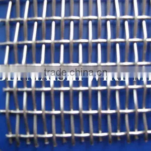 Galvanized Square Wire Mesh 16x16 Mesh /inch 0.35mm Diameter thumbnail-1