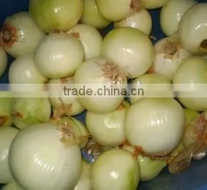 Onion Peeler Peeling Machine Skin Remover Striper thumbnail-3