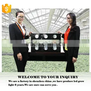 China Full Spectrum Wholesale Led Grow Lights thumbnail-6