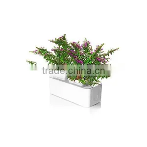 2014 Newest Office Decoration Mini Smart Garden thumbnail-3