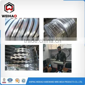 BTO&CBT Low Price Galvanized 450mm Coil Diameter Concertina Razor Barbed Wire With Pallet thumbnail-1