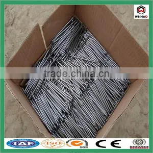 China Iso Factory Good Quality Construction Hot Sale Common Wire Nail thumbnail-4