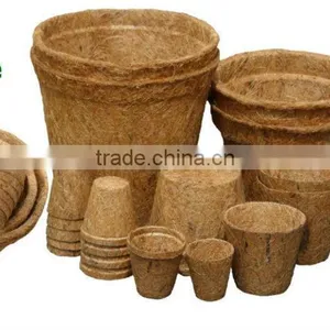 Coir Pot thumbnail-1