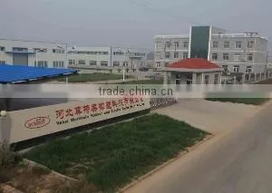 Hebei Mortmain Rubber And Plastic Technology Co., Ltd. company overview - view 2 thumbnail