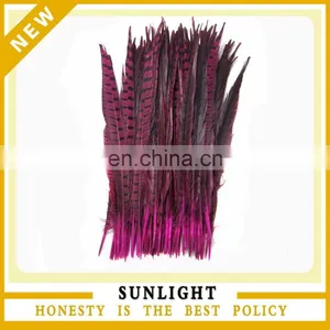 Fashion Dyed Ladies' Amherst Pheasant Feather Tails for Sale thumbnail-1