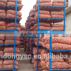 Export Fresh Garlic From Jinxiang, Best Quality Chinese Garlic thumbnail-6