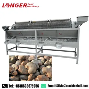 Hot Sale Cashew Nut Sorting Machine Cashew Sorting Machine thumbnail-1
