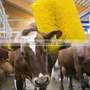 Cow Brush thumbnail-1