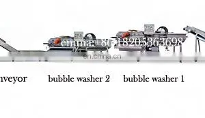 Small Vegetable Washing Machine Vegetable Fruit Washing Machine thumbnail-2