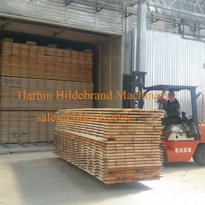 Germany Joint Venture Energy Saving Wood Drying Kiln, Firewood Kiln Kiln Dryer thumbnail-4