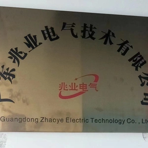 Guangdong Zhaoye Electric Technology Co., Ltd. company overview - view 1 thumbnail
