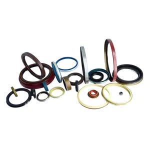 Customized Oil Seal OEM Different Materials Rotary Shaft Oil Seals thumbnail-3