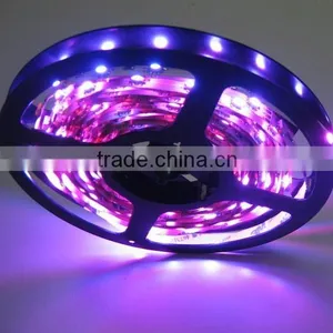 Eproxy Coat / Waterproof 150 Leds 5050 SMD Flexible Led Strip thumbnail-1