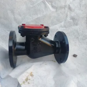 H44T-16 GB DIN DN100 DN150 PN16 Cast Iron GG25 Flange Check Valve Ductile Iron GGG50 Flange Swing Check Valve thumbnail-4