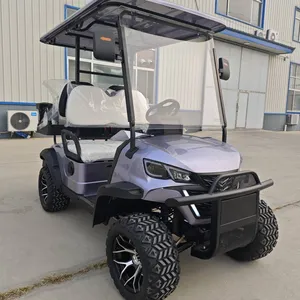Latest Private - Customized Electric Golf Carts, Sourced From the Original Manufacturer for Export and Foreign Trade thumbnail-2