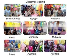 Shijiazhuang Mayrain Imp/Exp Co., Ltd. company overview - view 3 thumbnail
