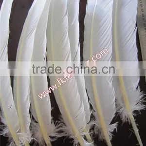 Wholesale Feather Products Natural Turkey Feather For Party Mask And Wedding Decorations thumbnail-2