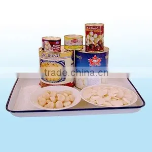 Canned Water Chestnuts thumbnail-1