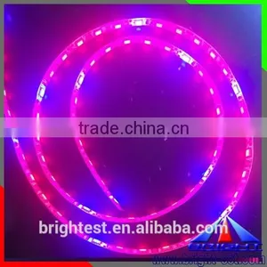 IP65 Red/blue LED Grow Strip Light Plant Grow Strip 5050 thumbnail-1