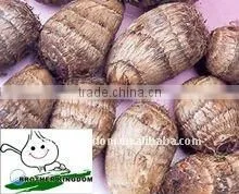 Fresh Taro thumbnail-1