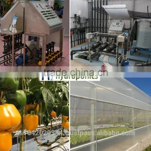 Greenhouse Climate Control System H2h Environment 1000 With Sensors thumbnail-1