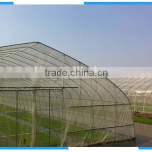 Anti Whitefly Net thumbnail-3