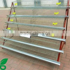 A Type Manufacture Cheap Advanced Quail Cages for 20000 Quails thumbnail-3