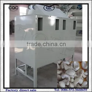 New Automatic Cashew Nut Processing Machine for Shelling thumbnail-3