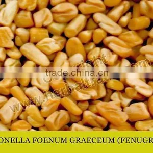 FENUGREEK thumbnail-1