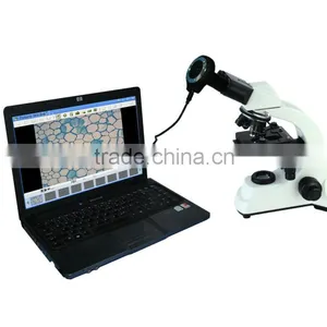 1.3MP Cost-effective DBMEM1300-5B Digital Biological Microscope Equipped With 1.3MP Digital Camera thumbnail-1