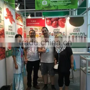 Hot Selling Goji Berry or Goji Berries thumbnail-6