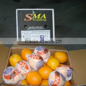 Fresh Navel Orange thumbnail-2