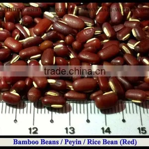 Peyin Beans [ Red ] thumbnail-1