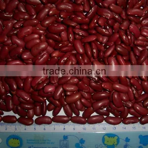 Chinese Red Kidney Bean Original Wholesales Price thumbnail-4