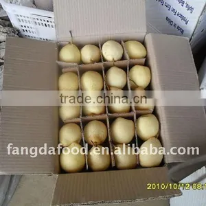New Crop China Fresh Ya Pear for Sale thumbnail-1