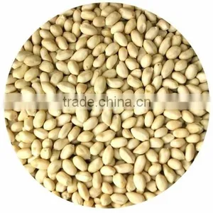 Commom Raw Peanut Kernels in Bulk Package thumbnail-1