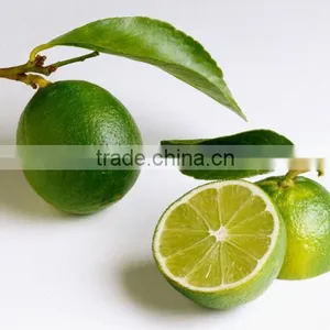100 % NATURAL LIME OIL OEM / ODM / GMP / ISO Approved ( Citrus Aurantifolia ) thumbnail-1