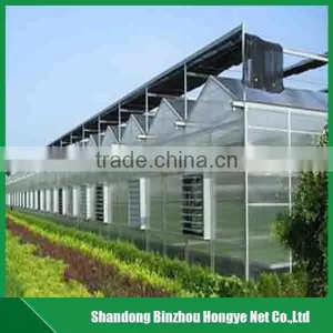 Hdpe Agricultural Sun Shade Net Greenhouse Shade Net for Vegetable and Fruit thumbnail-3