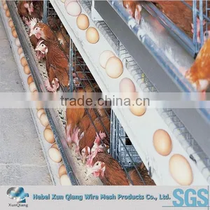 Galvanized Welded Wire Chicken Cages thumbnail-3